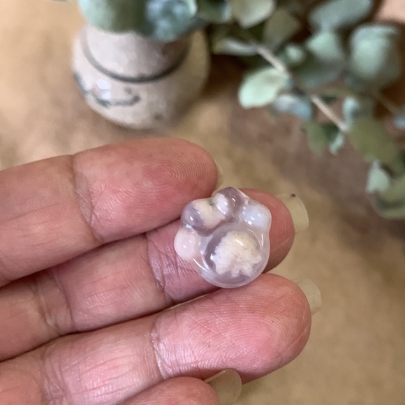 Unakite Bone and Flower Agate Paws Bundle - Picture 5 of 7